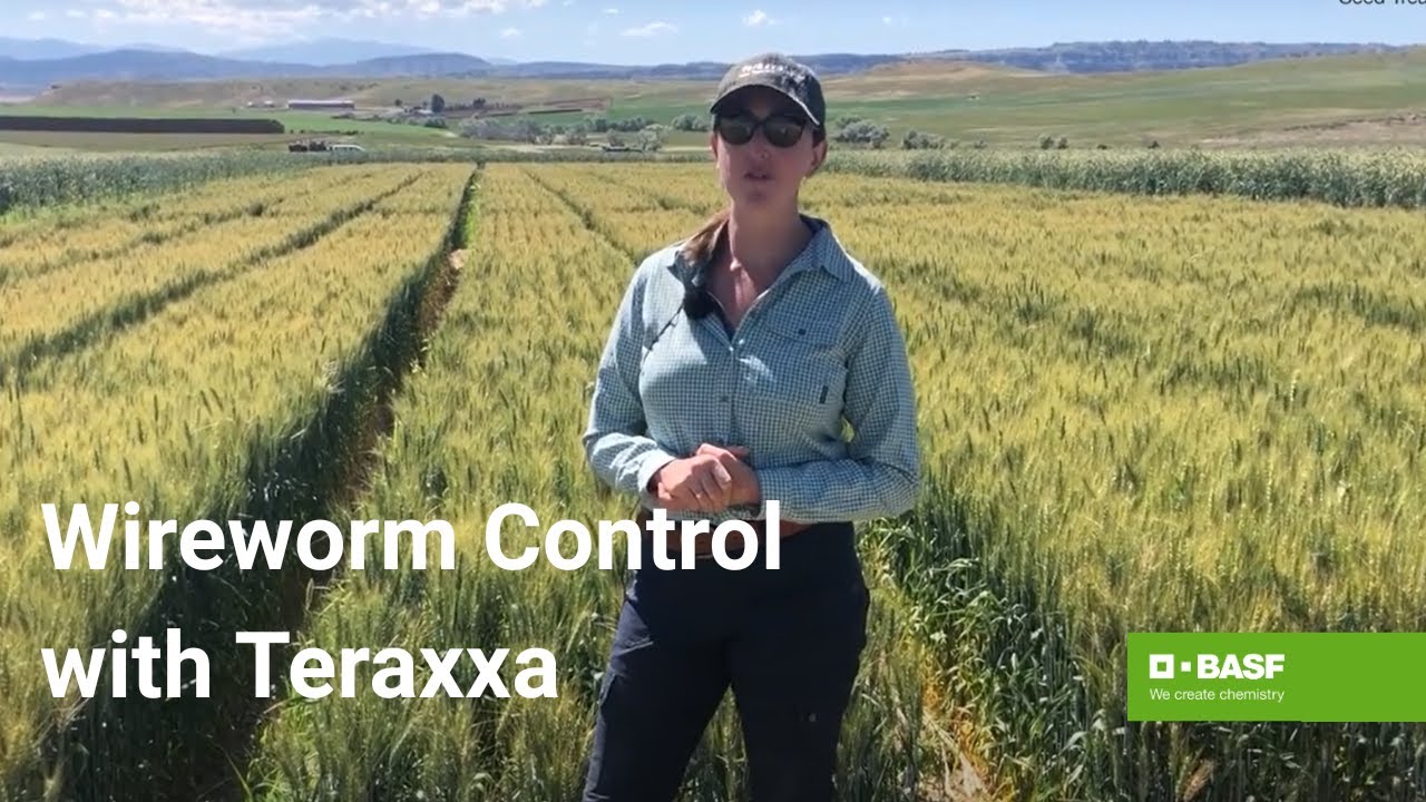 Understanding the Impact and Opportunities of Reddy Anna ID in Modern India